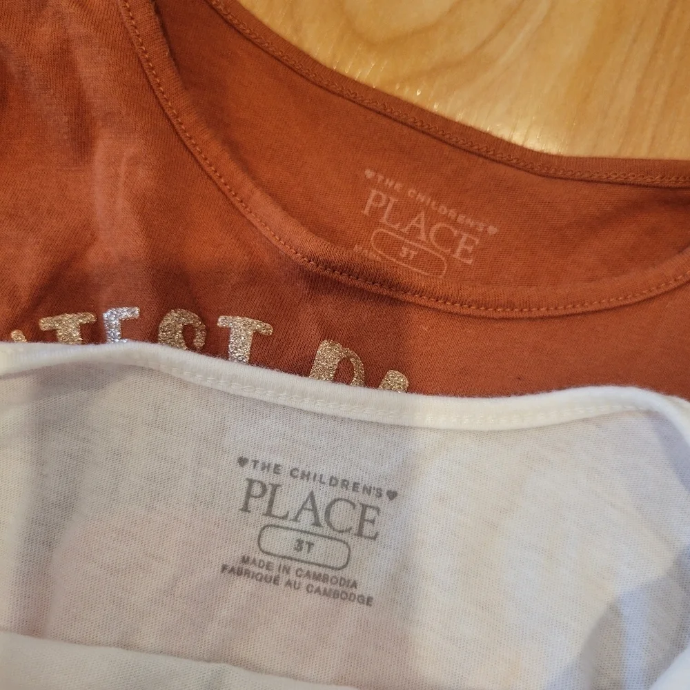 The Children's Place Fall Thanksgiving Long Sleeve T-shirt Bundle Size 3T